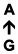 A ↑ G
