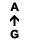 A ↑ G