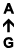 A ↑ G