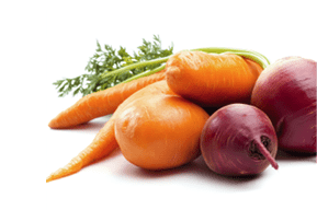 A pile of carrots and radishes on a white background. AI generated content