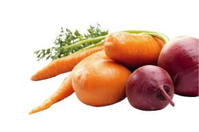 A variety of vegetables, including carrots and radishes, are displayed on a white background. AI generated content