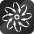 A white flower with a black background. AI generated content