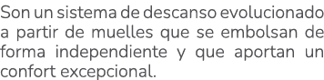 Son un sistema de descanso evolucionado a partir de muelles que se embolsan de forma independiente y que aportan un c...