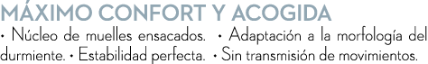m ximo confort y acogida • N cleo de muelles ensacados. • Adaptaci n a la morfolog a del durmiente. • Estabilidad per...