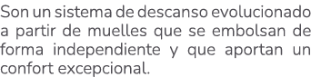 Son un sistema de descanso evolucionado a partir de muelles que se embolsan de forma independiente y que aportan un c...