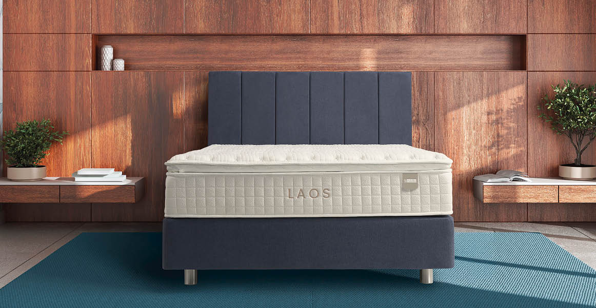 A modern bedroom setup features a neatly made bed with a gray upholstered headboard and base, flanked by floating wooden nightstands holding plants and books, against a wooden paneled wall with a blue rug on the floor. Description generated by AI