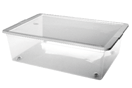 Rectangle