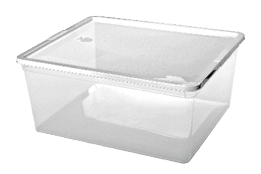 Rectangle