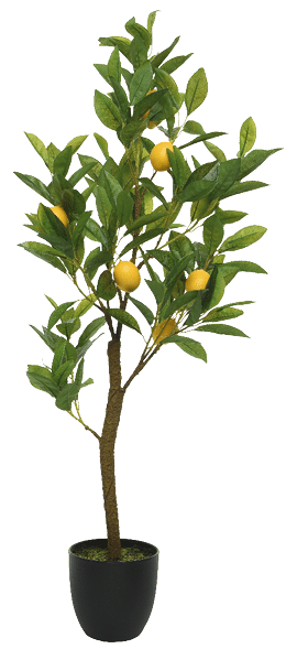 A small potted plant with a single lemon tree in it. AI generated content