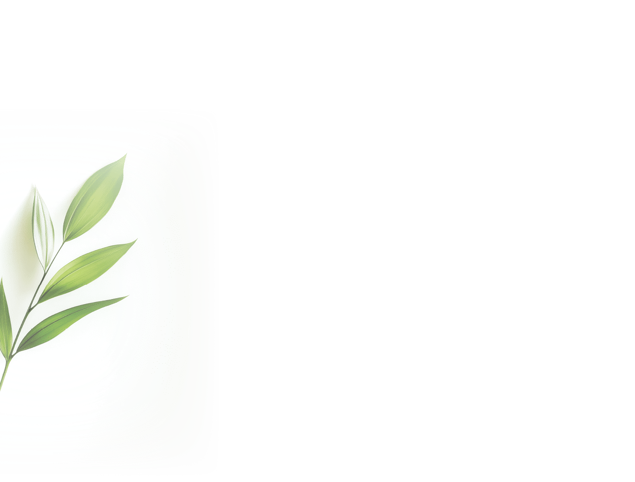 Single green plant sprig with variegated leaves on white background.