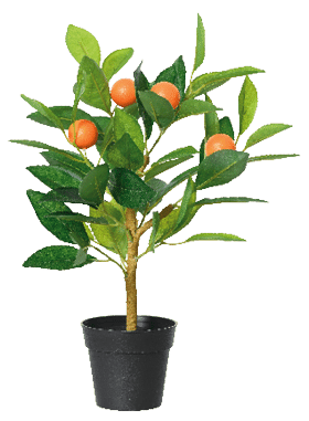 A small tree with oranges on it is in a black pot. AI generated content
