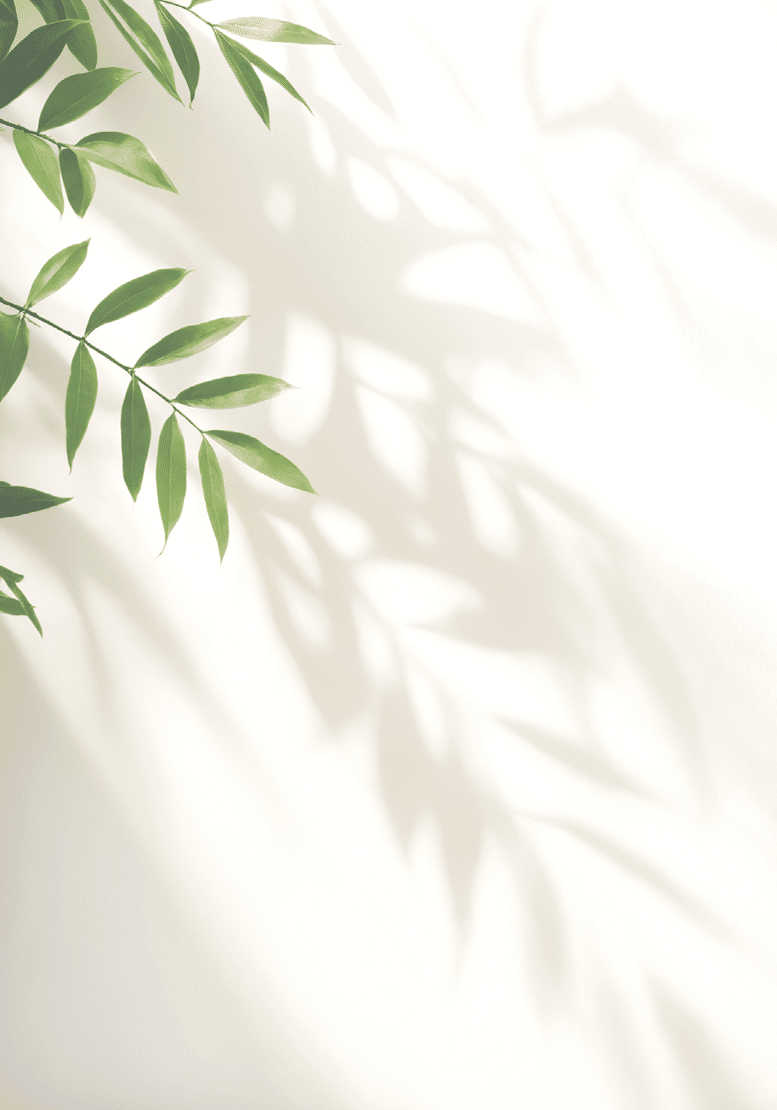 Minimalistic light background with blurred foliage shadow on white wall. Beautiful background for presentation. for text here