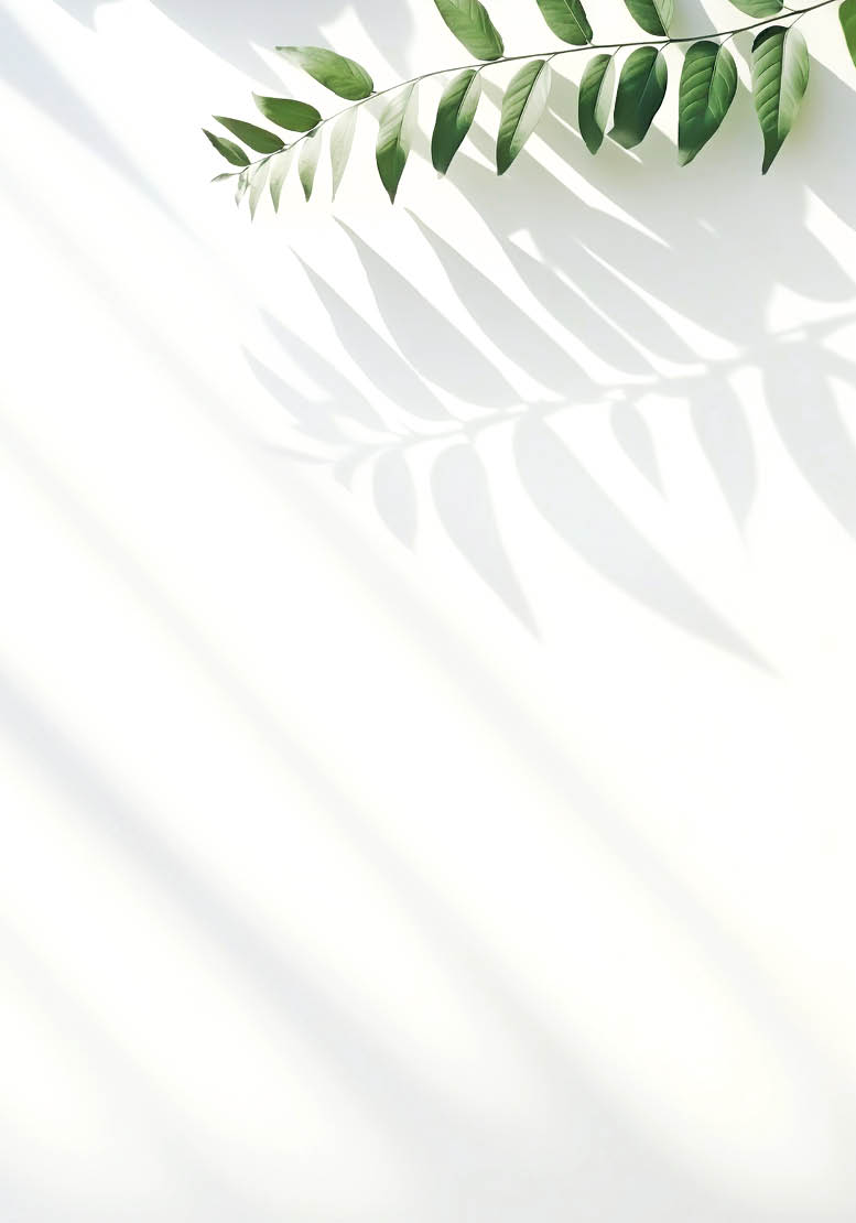 Blurred shadow of plant leaves on the white wall background