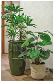 Two large potted plants are placed on a wooden floor. AI generated content