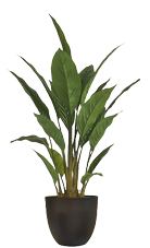 A large green plant in a black pot. AI generated content