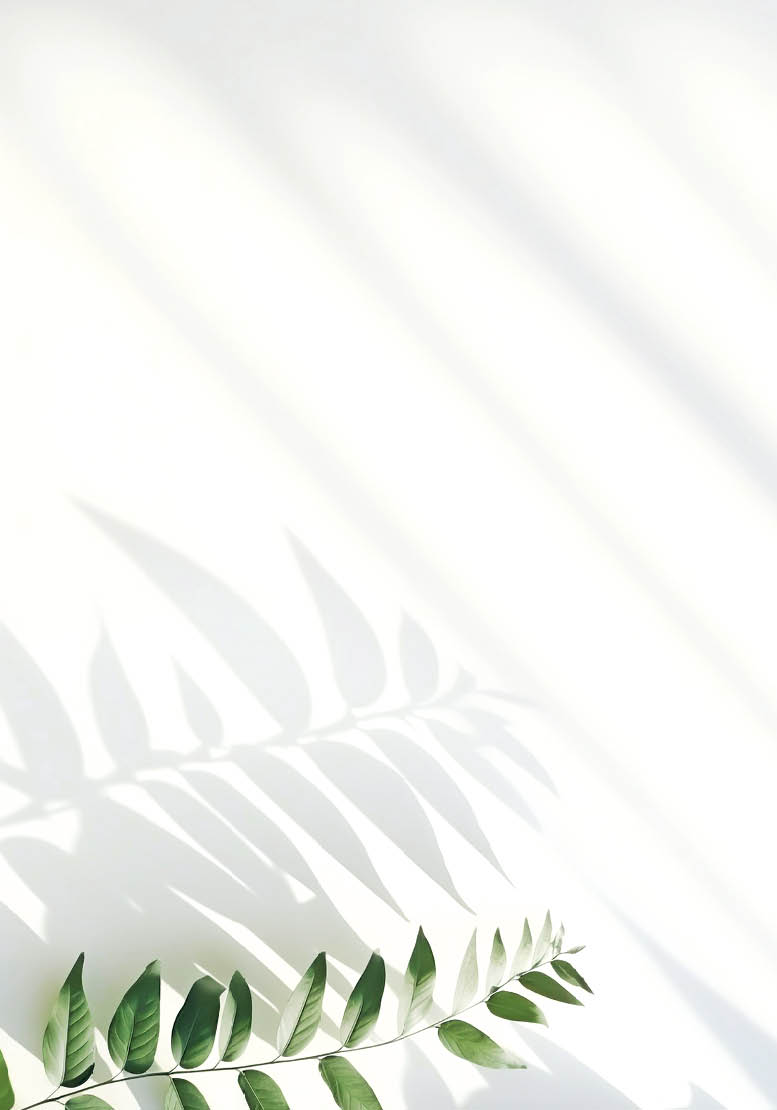 Blurred shadow of plant leaves on the white wall background