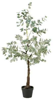Rectangle